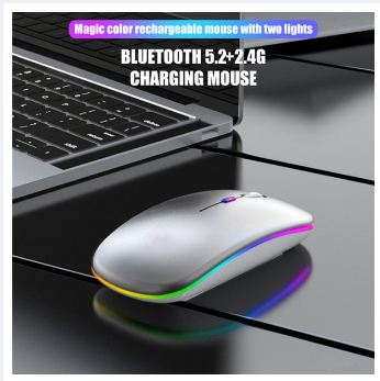 Bluetooth Wireless With USB Rechargeable RGB Mouse BT5.2 For Laptop Computer PC